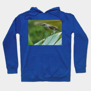 I've got my eye on you Hoodie